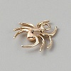 Brass Pendants KK-WH0088-81-2