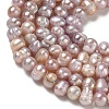 Natural Cultured Freshwater Pearl Beads Strands PA-CBAC463-12-4