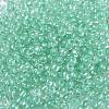 6/0 Glass Seed Beads SEED-A015-4mm-2219-2