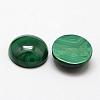 Natural Malachite Cabochons X-G-O146-03G-2