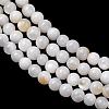 Natural Freshwater Shell Beads Strands SH-CBA2978-07D-02-2
