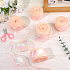 5 Rolls Flat Rainbow Color Organza Ribbon OCOR-CY0003-29B-4