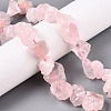 Natural Rose Quartz Beads Strands G-R421-17-5