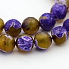 Natural Weathered Agate Faceted Round Beads Strands X-G-A134-02B-10mm-1