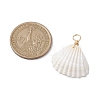Natural Ark Shell Pendants PALLOY-JF02679-01-2