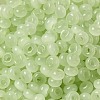 Transparent Colours Glass Seed Beads SEED-P007-01A-02-3
