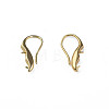 Brass Earring Hooks KK-N233-380-5