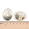 Natural Black Lip Shell Cabochons SSHEL-I026-04B-06-3