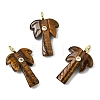 Natural Tiger Eye Carved Pendants G-C282-04C-1