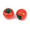 Opaque Resin Pendants RESI-D021-01A-2