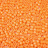 Opaque Baking Paint Glass Seed Beads SEED-T008-02F-3