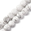 Natural Howlite Beads Strands G-T047-A03-01-1