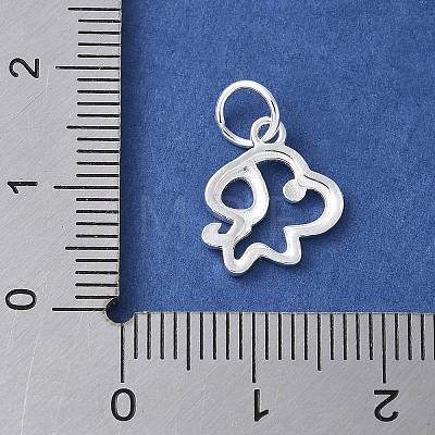 925 Sterling Silver Chinese Zodiac Outline Charms STER-P066-02S-11-1