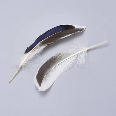 Feather Costume Accessories FIND-Q046-15F-1