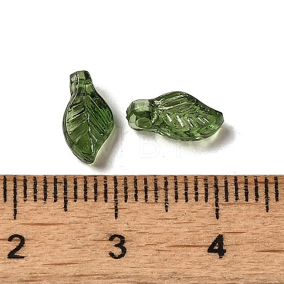Transparent Acrylic Charms A-TACR-G041-01B-1