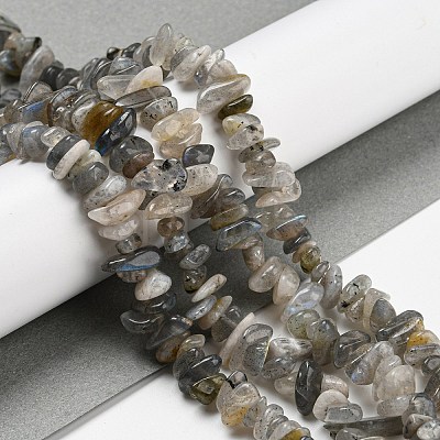 Natural Labradorite Beads Strands G-P332-23-1