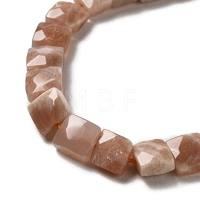Natural Sunstone Beads Strands G-C109-A09-02-1