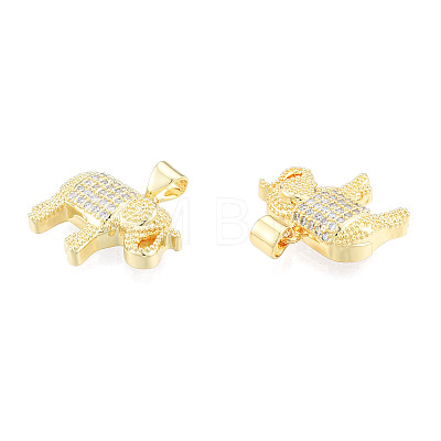 Brass Micro Pave Clear Cubic Zirconia Pendants ZIRC-N039-268-1