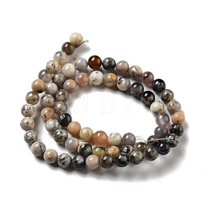 Natural Dendritic Jasper Beads Strands G-E571-31A-1