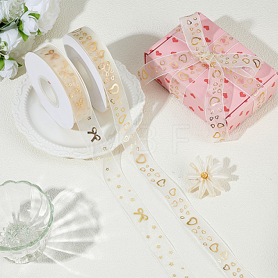Polyester Ribbons OCOR-WH0120-45A-1