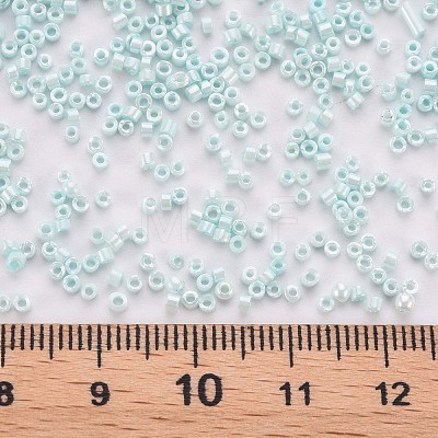 Glass Cylinder Beads SEED-S047-L-008-1