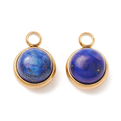 Natural Lapis Lazuli Charms G-K325-01G-02-1