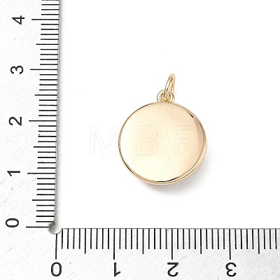 Spray Painted Brass Pendants KK-CBAEB58-09G-1