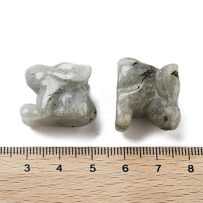 Natural Labradorite Carved Figurines DJEW-L023-E02-1