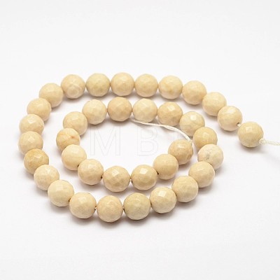 Natural Fossil Round Bead Strands G-O151-02-8mm-1