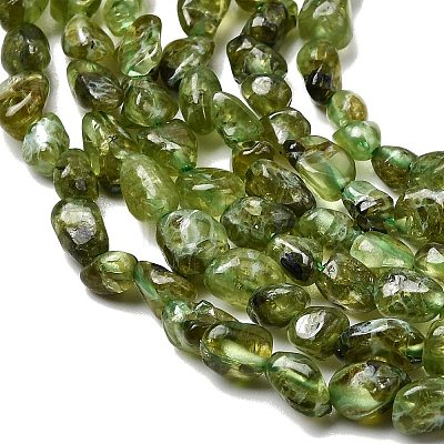 Natural Peridot Beads Strands G-P601-A01-01-1