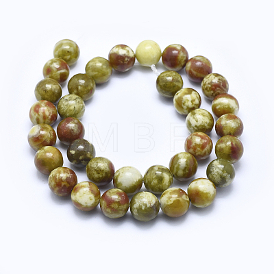 Natural Bloodstone Beads Strands G-I213-25-12mm-1