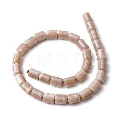 Column Natural Sunstone Beads Strands G-K070-03-1