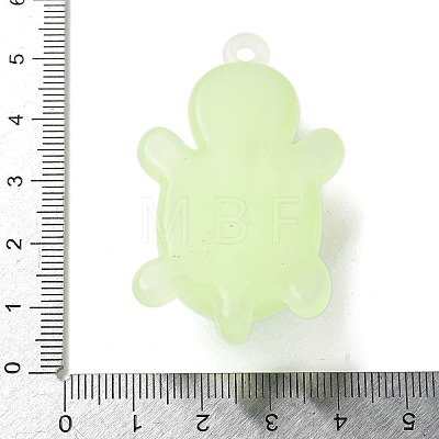 Luminous PVC Pendants KY-P019-01A-1