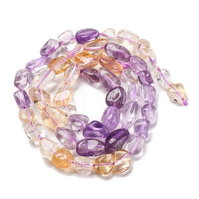 Natural Amethyst & Citrine Beads Strands G-L610-B06-01-1