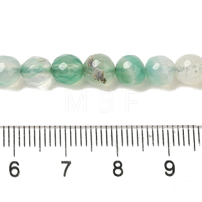 Natural Agate(Dyed & Heated) Beads Strands G-H066-B03-01-1