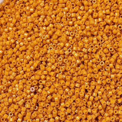 MIYUKI Delica Beads X-SEED-J020-DB2104-1