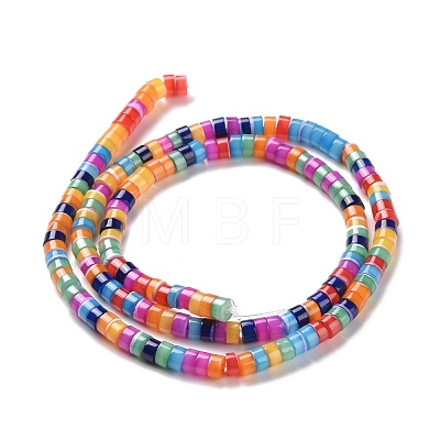 Natural Trochid Shell Beads Strands SSHEL-G023-02C-02-1