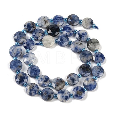 Natural Blue Spot Jasper Beads Strands G-C116-A79-01-1