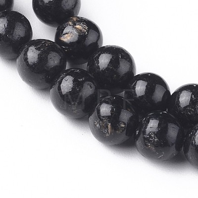 Natural Biotite Beads Strands G-L528-06D-1