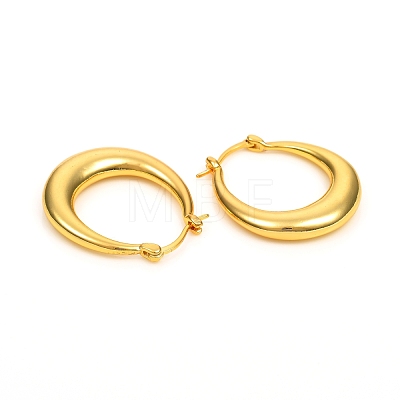 Brass Hoop Earrings EJEW-F250-03-G-1