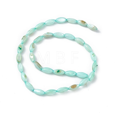 Natural Freshwater Shell Dyed Beads Strands SHEL-M018-13-02-1