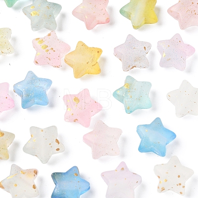300Pcs 10 Colors Frosted Acrylic Charms OACR-FS0004-09-1