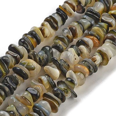 Natural Black Lip Shell Beads Strands BSHE-G038-04-1