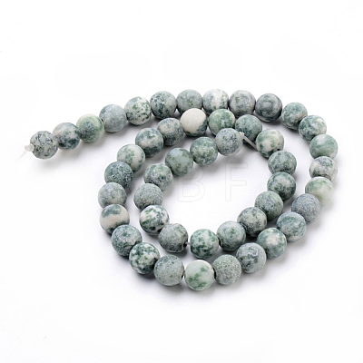 Natural Qinghai Jade Round Bead Strands G-Q462-74-10mm-1