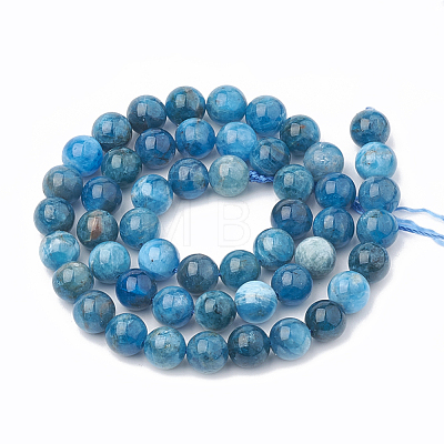 Natural Apatite Beads Strands G-S333-8mm-012-1