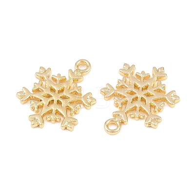 Alloy Pendants FIND-B059-05G-01-1