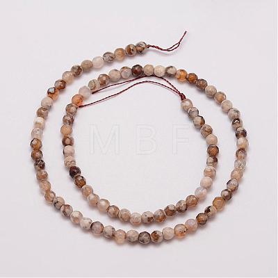Natural Fire Crackle Agate Beads Strands G-G882-4mm-B06-3-1