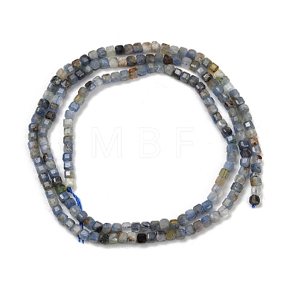 Natural Kyanite Beads Strands G-B088-E24-02-1