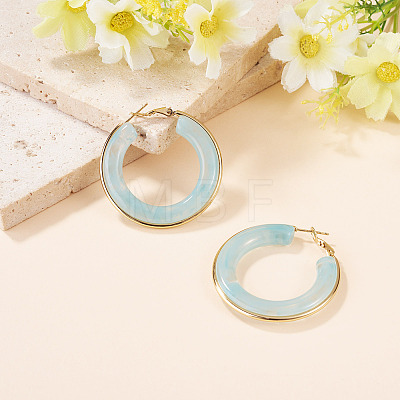 1 Pair 304 Stainless Steel Hoop Earrings EJEW-TA0001-89D-1