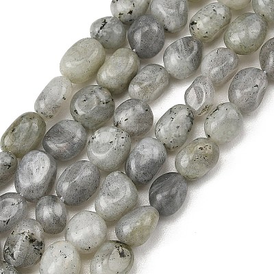 Natural Labradorite Beads Strands G-P623-A03-01-1